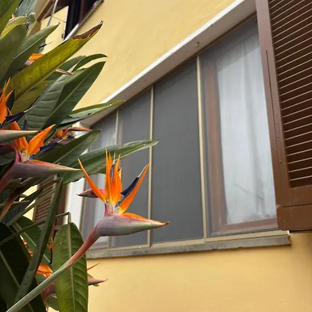 펜션 La Casa Del Mare *